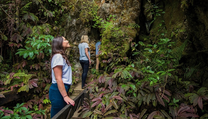 Visitors exploring lush entrance of Aranui Cave, New Zealand.