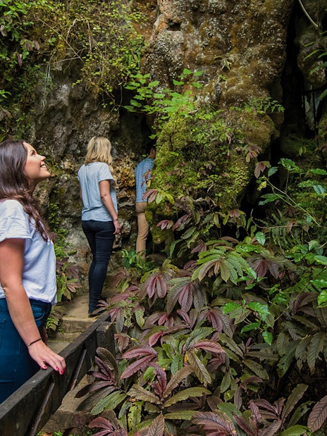 Visitors exploring lush entrance of Aranui Cave, New Zealand.