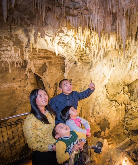 Family exploring stalactites in Aranui Cave, Waitomo during guided tour.