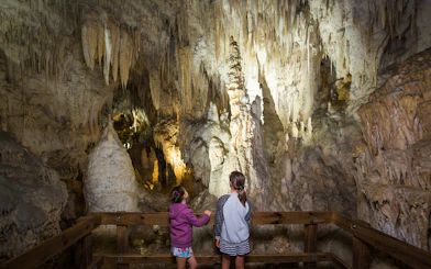 Visitors exploring stalactites and stalagmites in Aranui Cave during a guided tour.