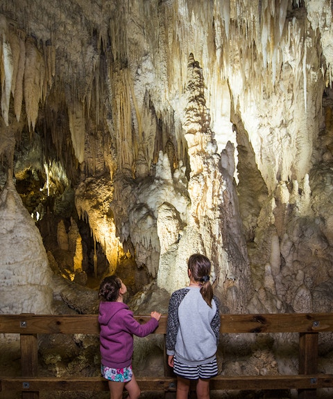Visitors exploring stalactites and stalagmites in Aranui Cave during a guided tour.