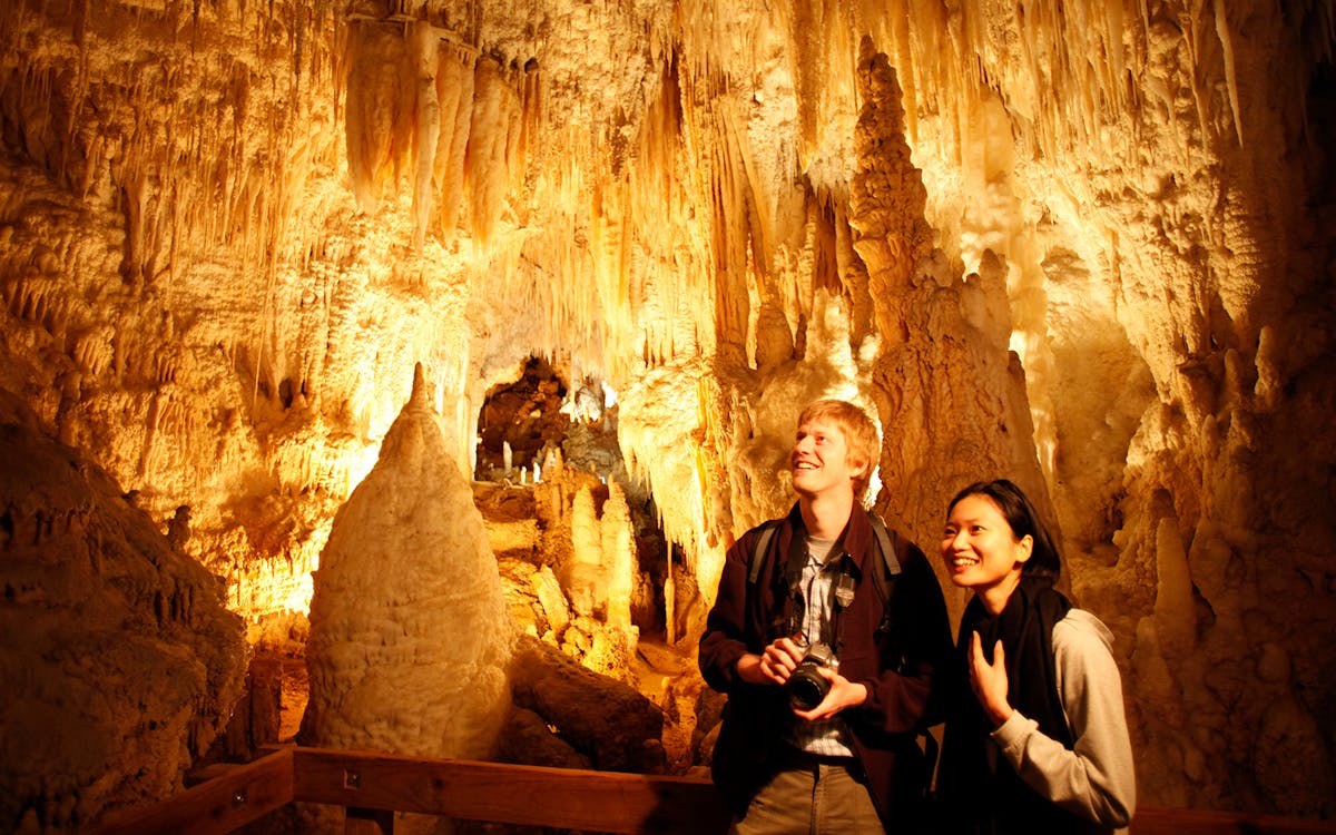 aranui cave guided tour-5 aranui cave guided tour-5