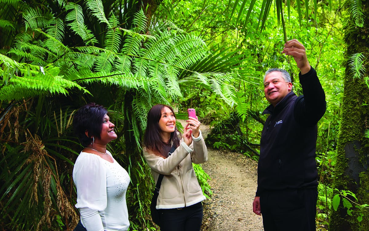 aranui cave guided tour-9 aranui cave guided tour-9