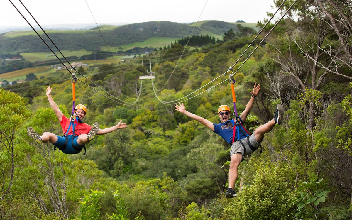 waiheke island zipline and forest walk-3 waiheke island zipline and forest walk-3