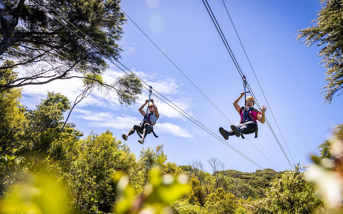 waiheke island zipline and forest walk-2 waiheke island zipline and forest walk-2