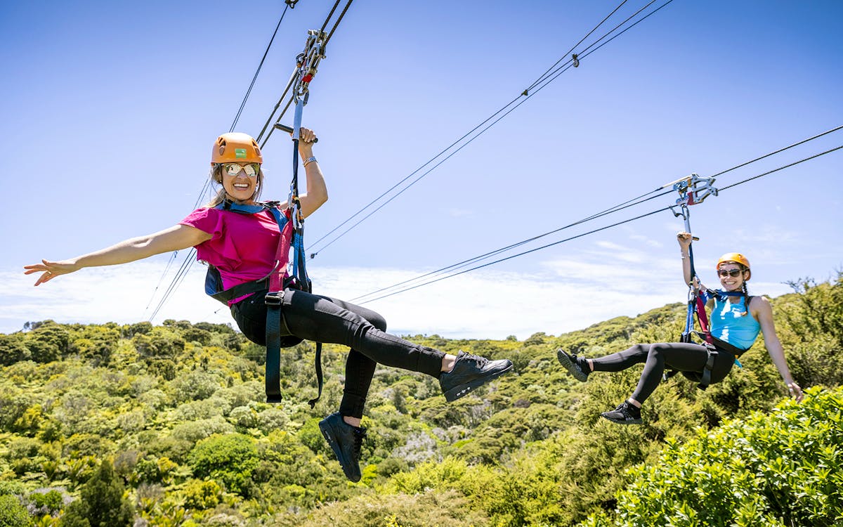 waiheke island zipline and forest walk-6 waiheke island zipline and forest walk-6