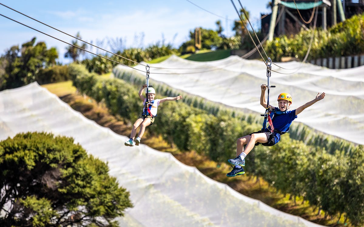 waiheke island zipline and forest walk-9 waiheke island zipline and forest walk-9