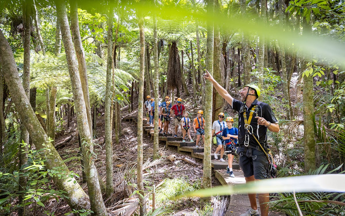waiheke island zipline and forest walk-16 waiheke island zipline and forest walk-16
