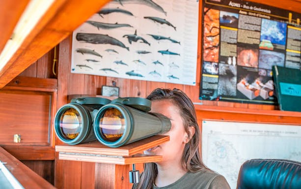 Spotter using binoculars in a whaling museum on the Azorean Whalers Heritage Tour.