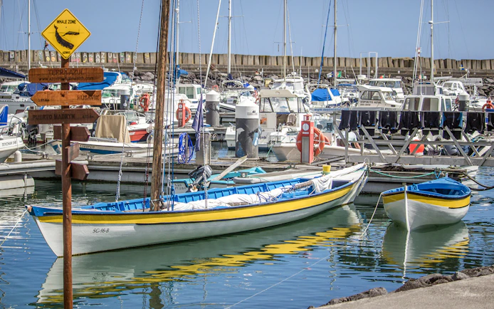 Traditional whaling boats docked in Azores harbor, sign indicating whale watching zone.