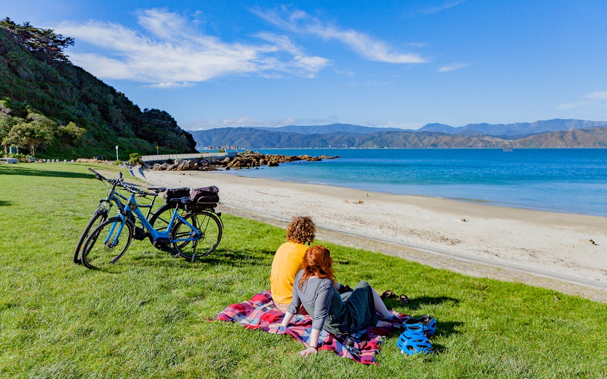 electric bays half-day guided e-bike tour in wellington-7 electric bays half-day guided e-bike tour in wellington-7