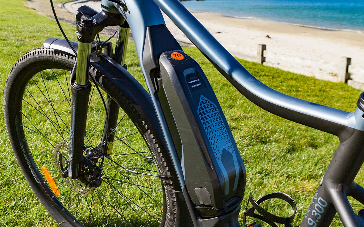 electric bays half-day guided e-bike tour in wellington-10 electric bays half-day guided e-bike tour in wellington-10