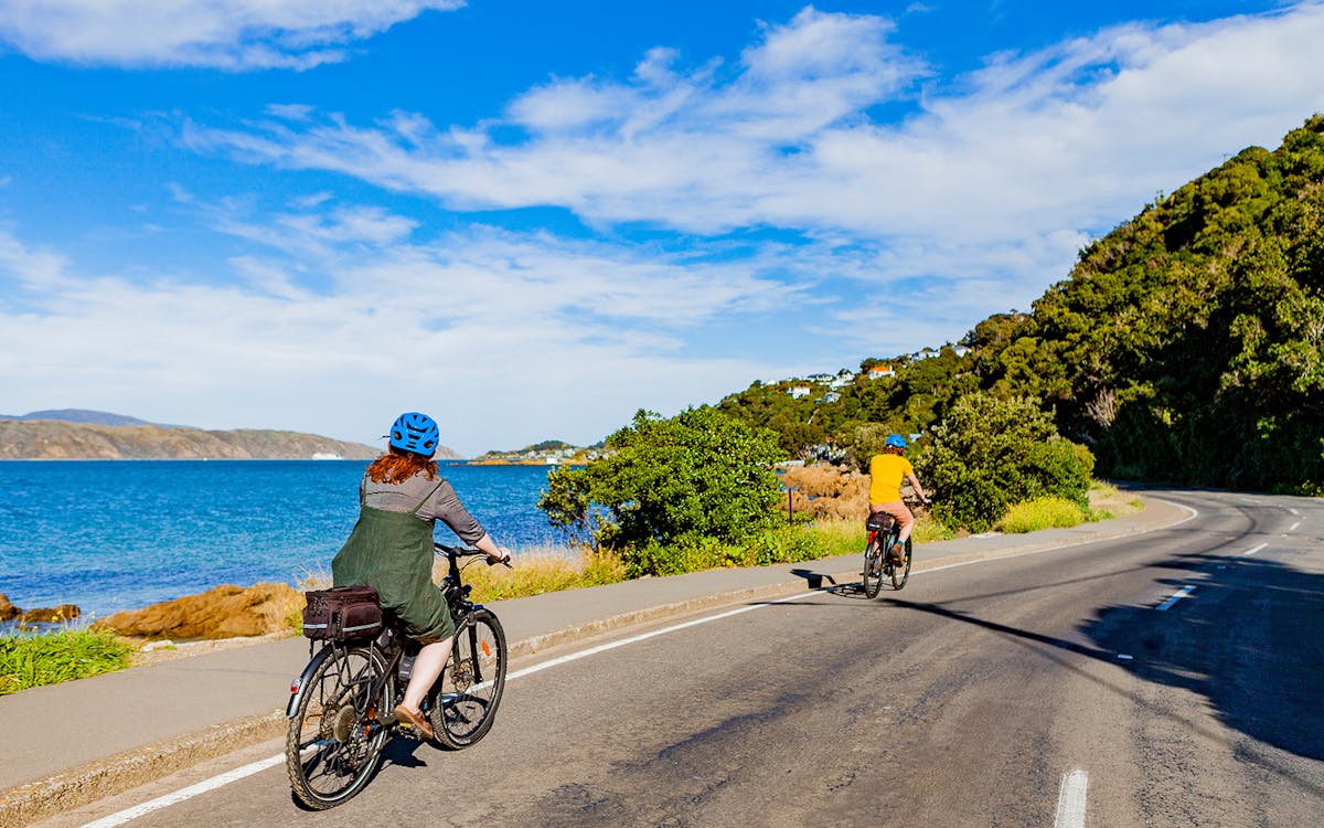 electric bays half-day guided e-bike tour in wellington-15 electric bays half-day guided e-bike tour in wellington-15