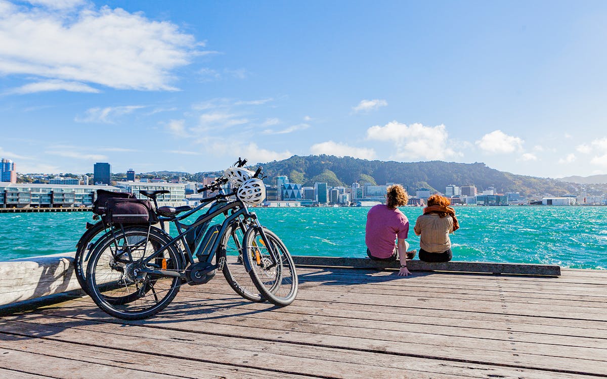 electric bays half-day guided e-bike tour in wellington-6 electric bays half-day guided e-bike tour in wellington-6