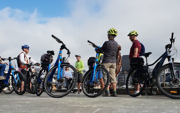 Group of cyclists on Wellington guided bike tour with city skyline in background.