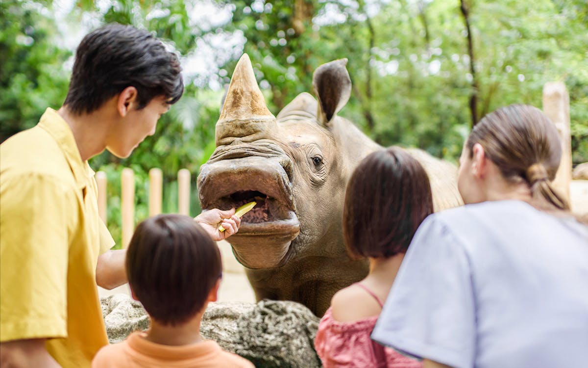breakfast in the wild without zoo admission-6 breakfast in the wild without zoo admission-6