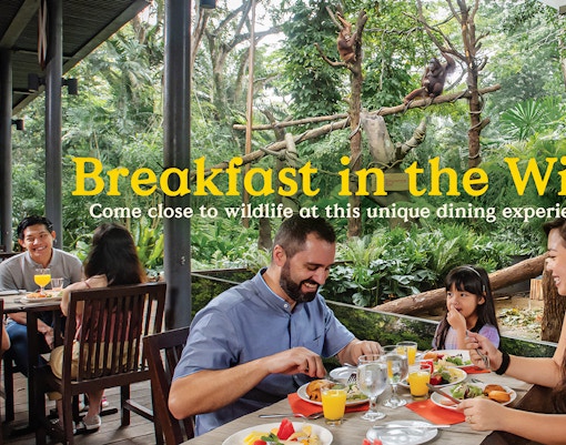 Visitors dining with orangutans at Singapore Zoo's Breakfast in the Wild experience.