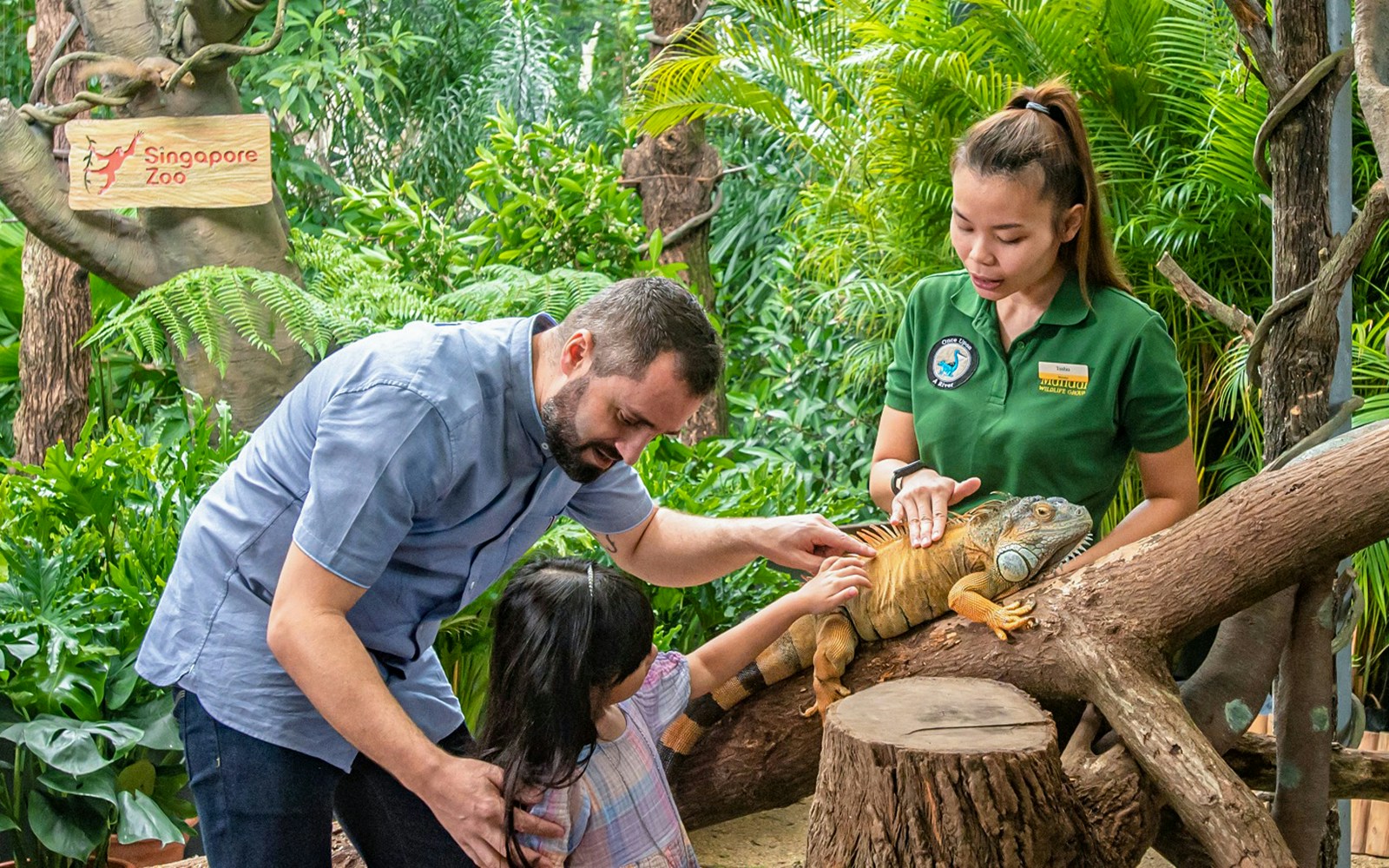 Visitors interacting with an iguana at Singapore Zoo during Breakfast in the Wild experience.