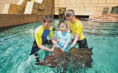 aquaventure waterpark ray feeding