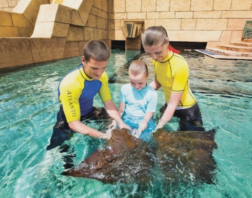 Dubai Aquarium Tank & Aquarium Tunnel