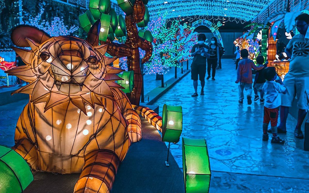 weekend entry tickets to 99 wonderland park-8 weekend entry tickets to 99 wonderland park-8