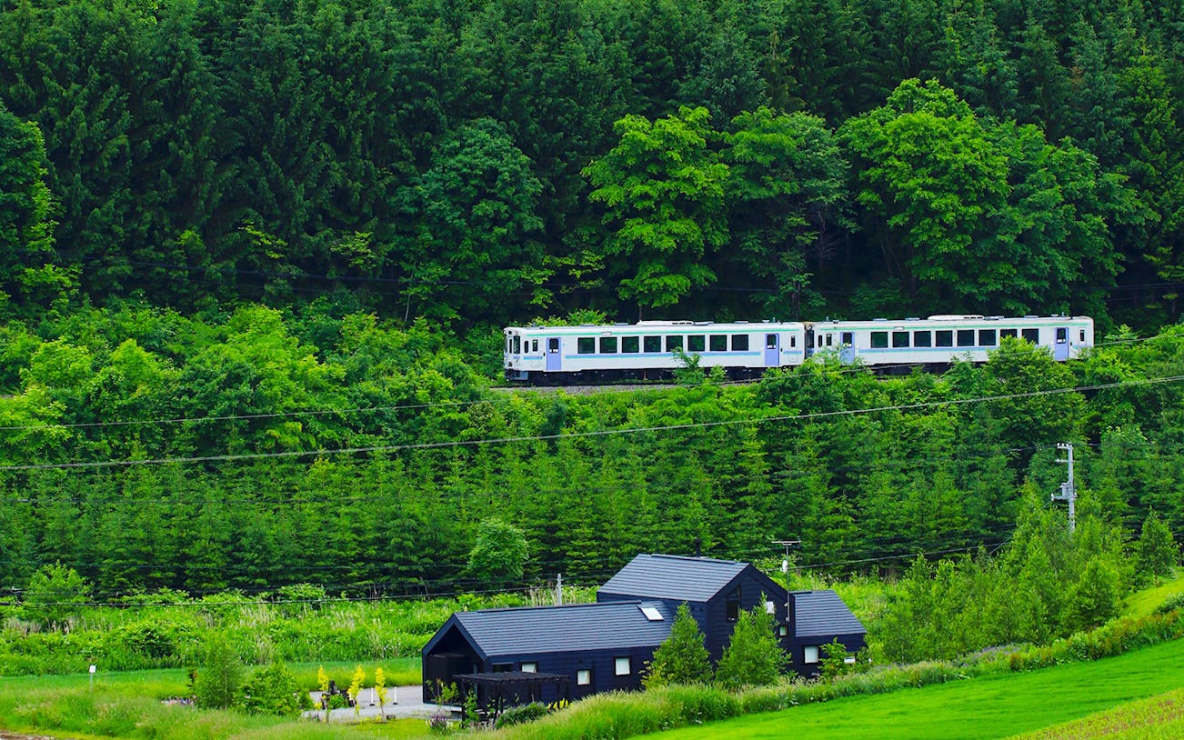 Train passing through lush forest in San’in-Okayama area, Japan.