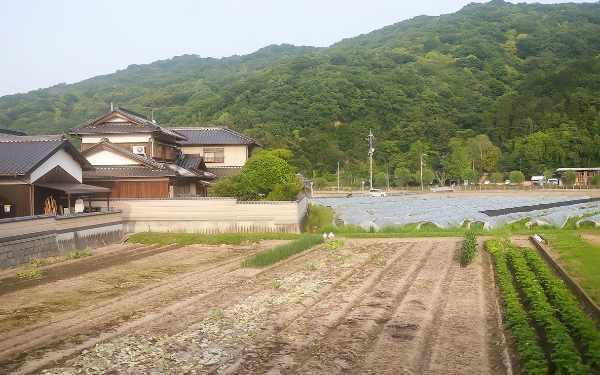 Traditional Japanese houses and farmland in Okayama, Japan, with lush green hills in the background.