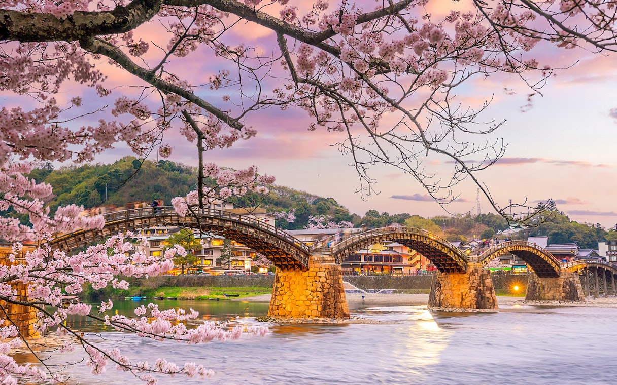 Kintai Bridge with cherry blossoms in Iwakuni, Japan, during sunset.
