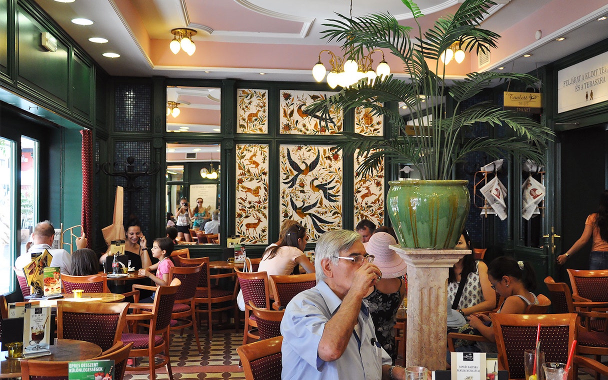 Café interior in Szentendre with people dining, featuring decorative wall art and potted plants.
