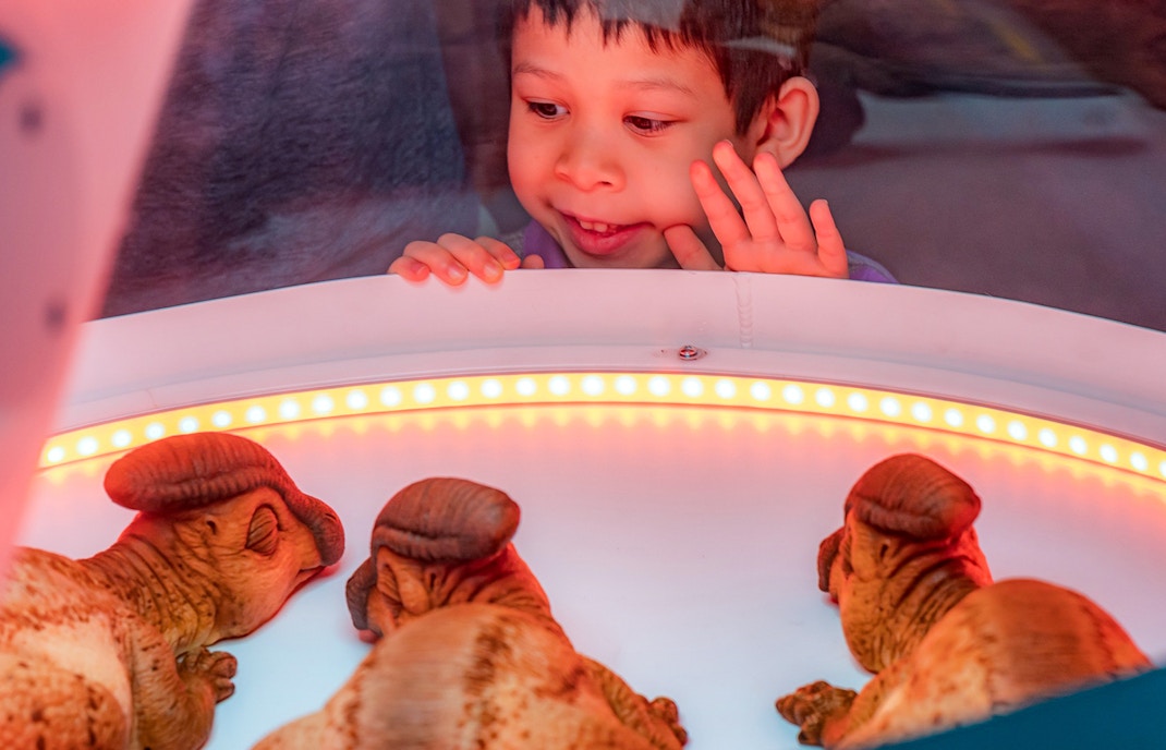 Jurassic World Exhibition Ticket - Discovery Center