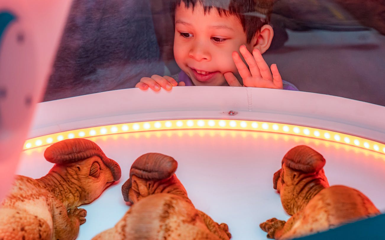 Child observing dinosaur models at Jurassic World: The Exhibition in London.