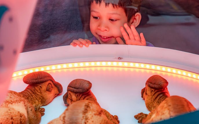 Child observing dinosaur models at Jurassic World: The Exhibition in London.