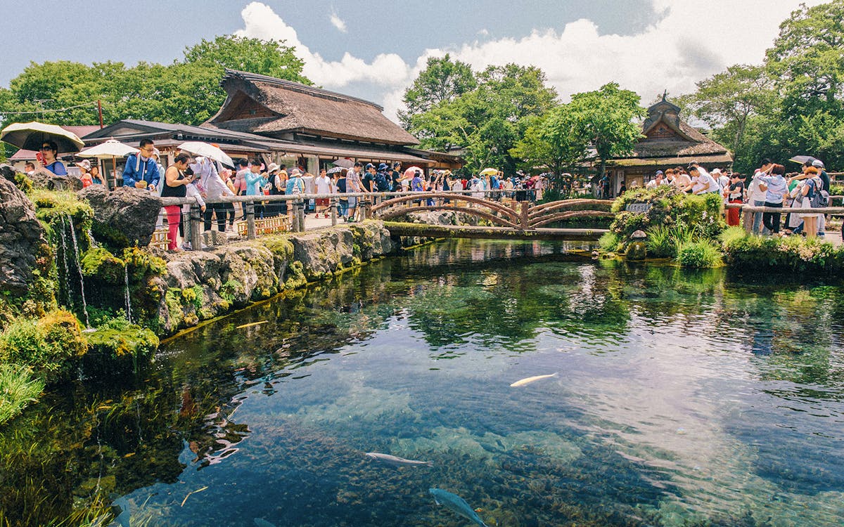 day tour to mt. fuji: lake kawaguchi, oshino hakkai, maccha experience, gotemba outlet-7 day tour to mt. fuji: lake kawaguchi, oshino hakkai, maccha experience, gotemba outlet-7