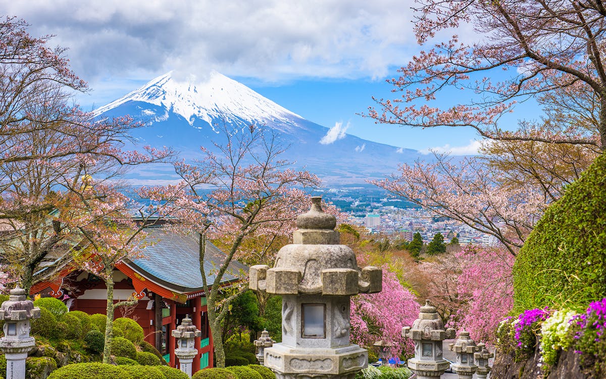 day tour to mt. fuji: lake kawaguchi, oshino hakkai, maccha experience, gotemba outlet-4 day tour to mt. fuji: lake kawaguchi, oshino hakkai, maccha experience, gotemba outlet-4