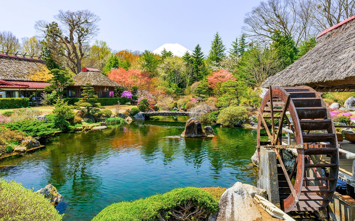 day tour to mt. fuji: lake kawaguchi, oshino hakkai, maccha experience, gotemba outlet-5 day tour to mt. fuji: lake kawaguchi, oshino hakkai, maccha experience, gotemba outlet-5