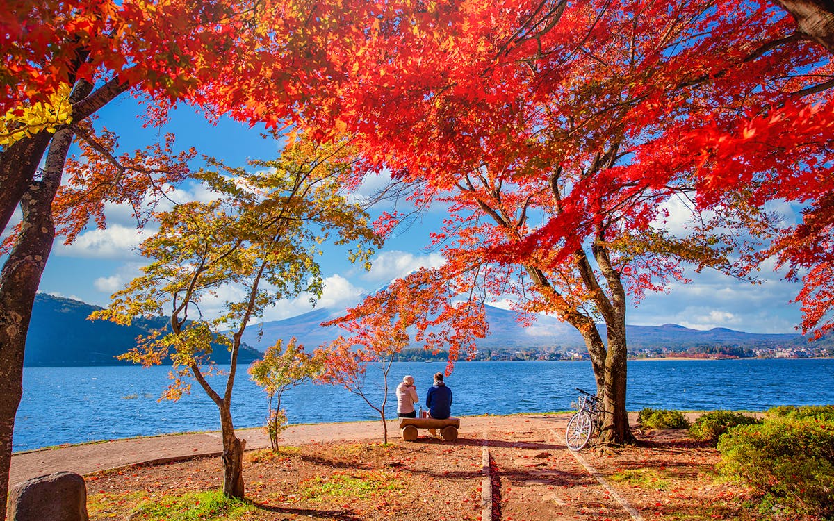 day tour to mt. fuji: lake kawaguchi, oshino hakkai, maccha experience, gotemba outlet-3 day tour to mt. fuji: lake kawaguchi, oshino hakkai, maccha experience, gotemba outlet-3