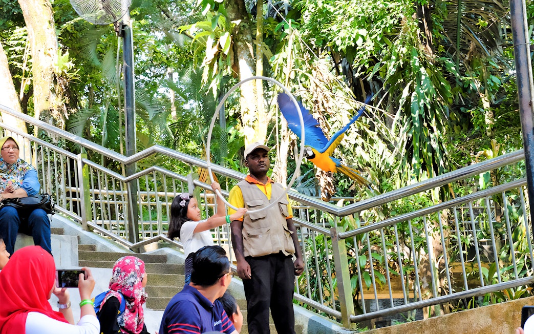 Child interacting with a parrot at Kuala Lumpur Bird Park.