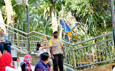 Child interacting with a parrot at Kuala Lumpur Bird Park.