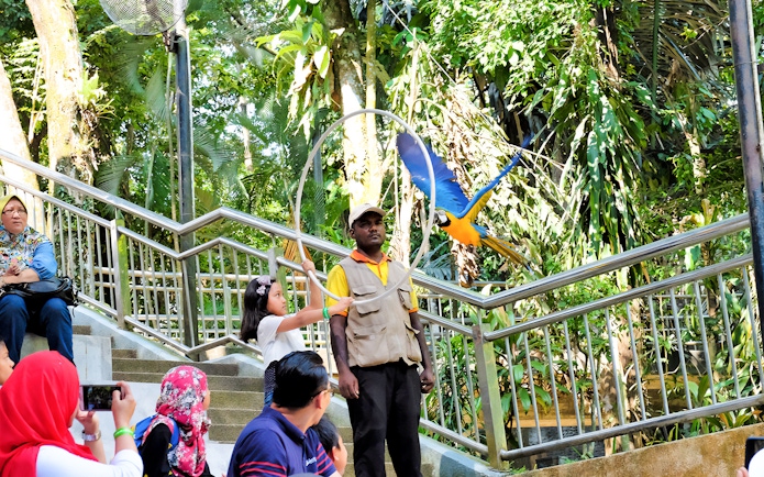 Child interacting with a parrot at Kuala Lumpur Bird Park.
