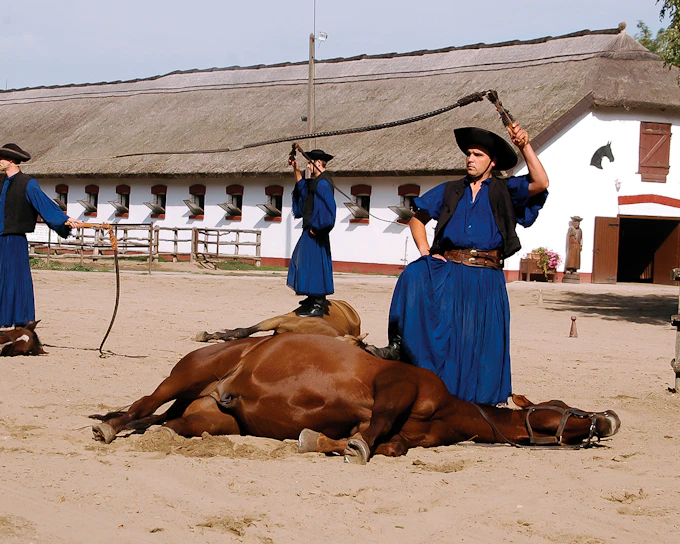 From Budapest: Kecskemet with Traditional Horse Show Day Trip