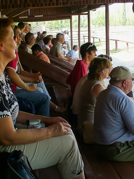 Visitors seated in a covered area watching a horse show during the Puszta day trip in Kecskemet, Hungary.