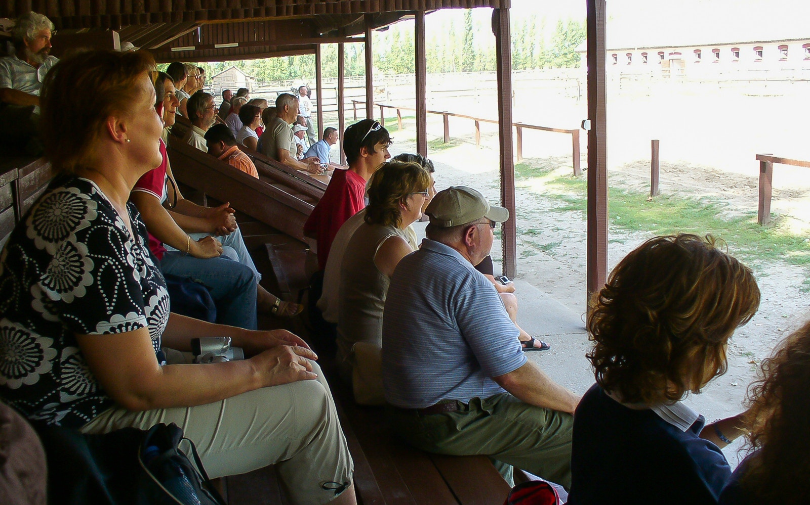Visitors seated in a covered area watching a horse show during the Puszta day trip in Kecskemet, Hungary.