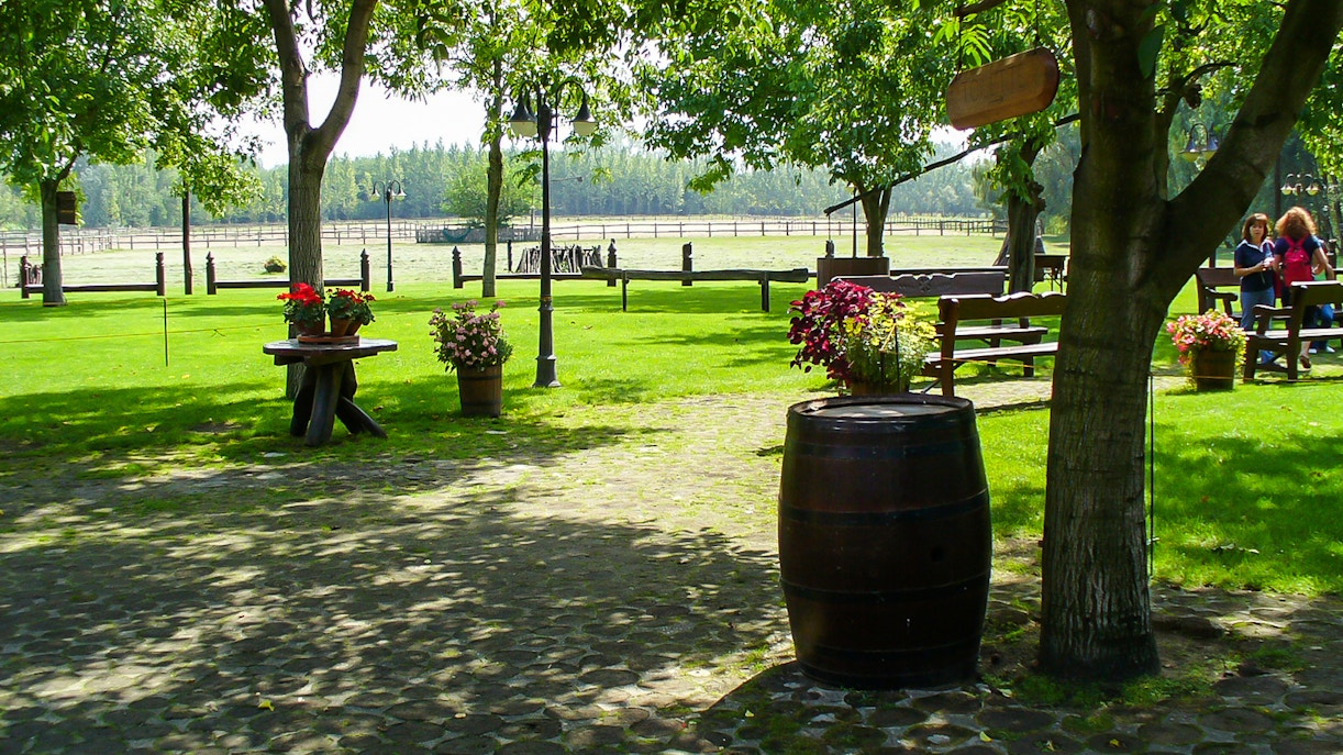 Kecskemet countryside picnic area with tables and flowers, part of Puszta Day Trip from Budapest.