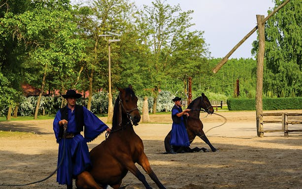 Horsemen performing in traditional attire during Puszta horse show in Kecskemet, Hungary.