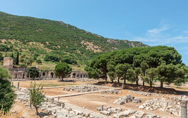 Ancient ruins and greenery at Ephesus archaeological site in Turkey.