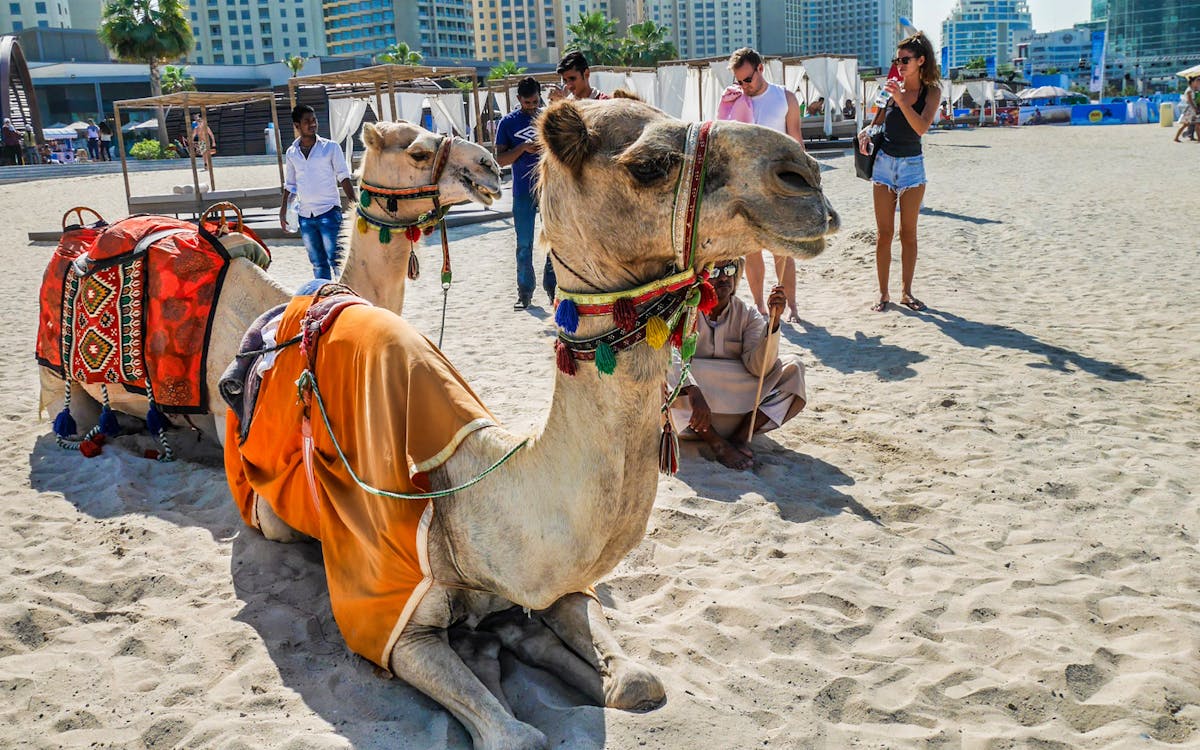 half-day/full-day traditional dubai city tour with optional lunch-10 half-day/full-day traditional dubai city tour with optional lunch-10