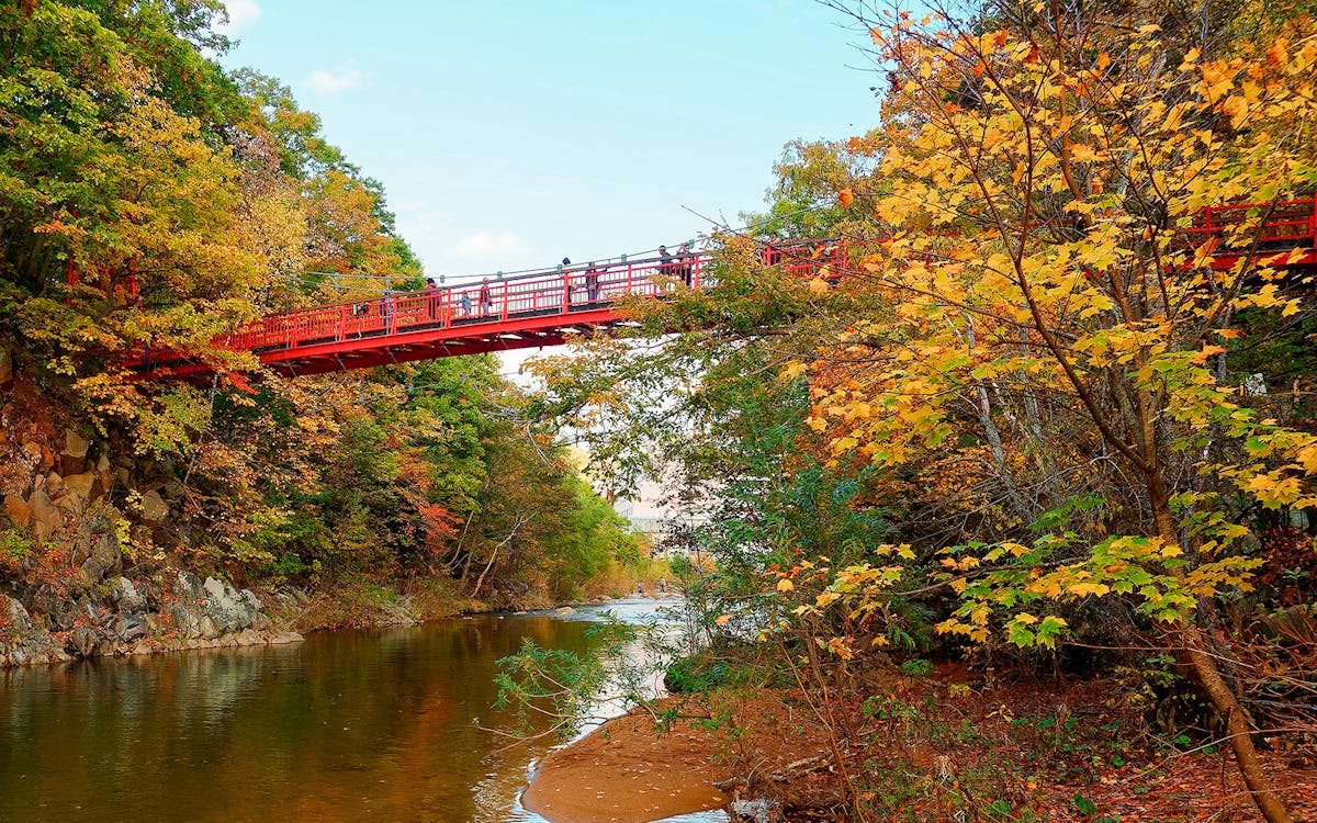 4 day hokkaido sapporo-furano area pass-6 4 day hokkaido sapporo-furano area pass-6