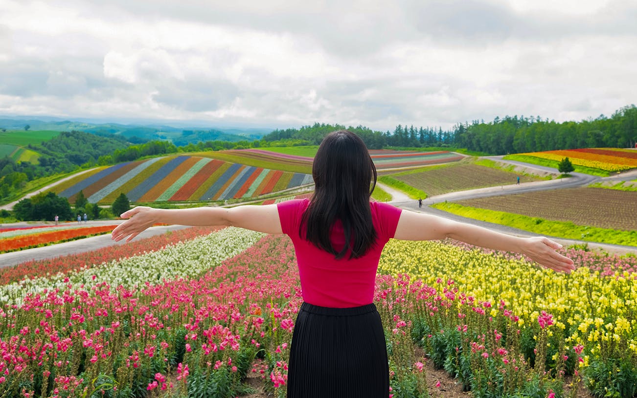 Woman enjoying colorful flower fields in Furano, Hokkaido, Japan.