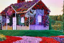Miracle Garden