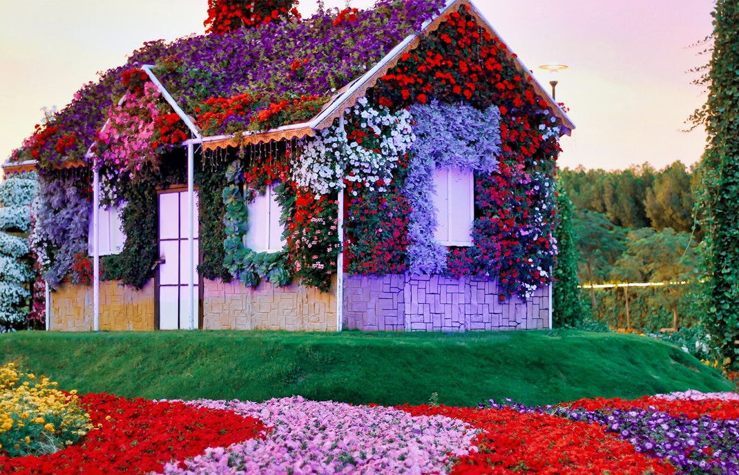 Visit Miracle Garden Dubai